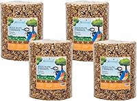 JCs Wildlife Bugs, Nuts & Berries Premium Bird Seed Cylinders - Mess-Free Large 3.8 lb Pack of 4 for Bluebirds, Woodpeckers