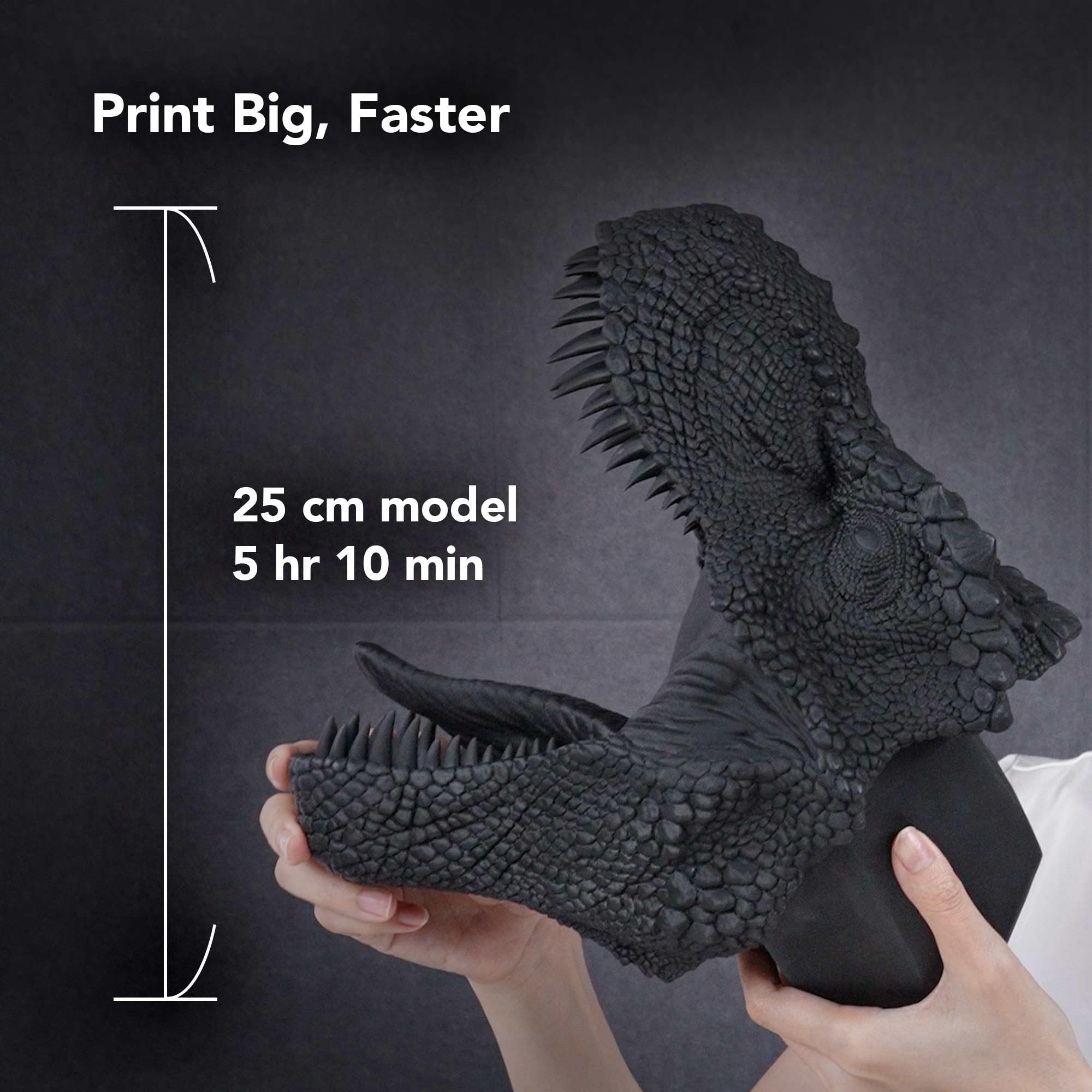Phrozen Waterwasbare 3D Printer Resin | 405nm Standaard Hars voor LCD/MSLA/DLP Printer | UV-Uithardend, gemakkelijk te printen hars - Zwart (1kg