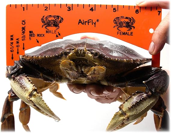 AirFly Crab Gauge for Dungeness, Rock and Blue Crab, 5 Measurement Openings, ABS Plastic