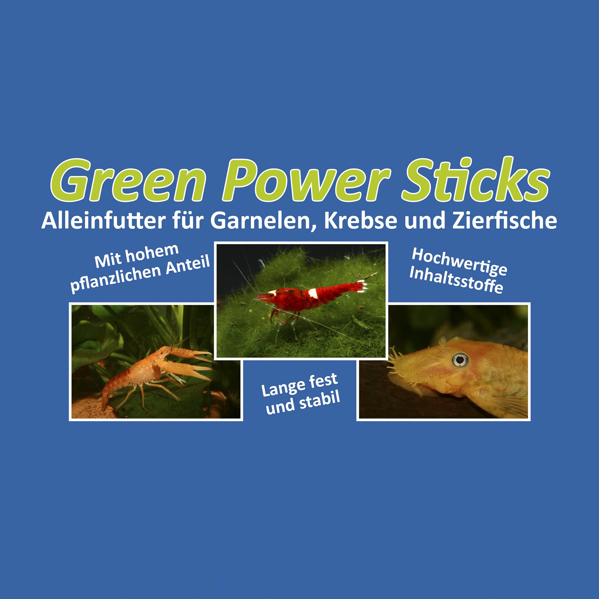 Futtersticks: Green Power Sticks - Futter für Garnelen, Krebse und Zierfische, 800g