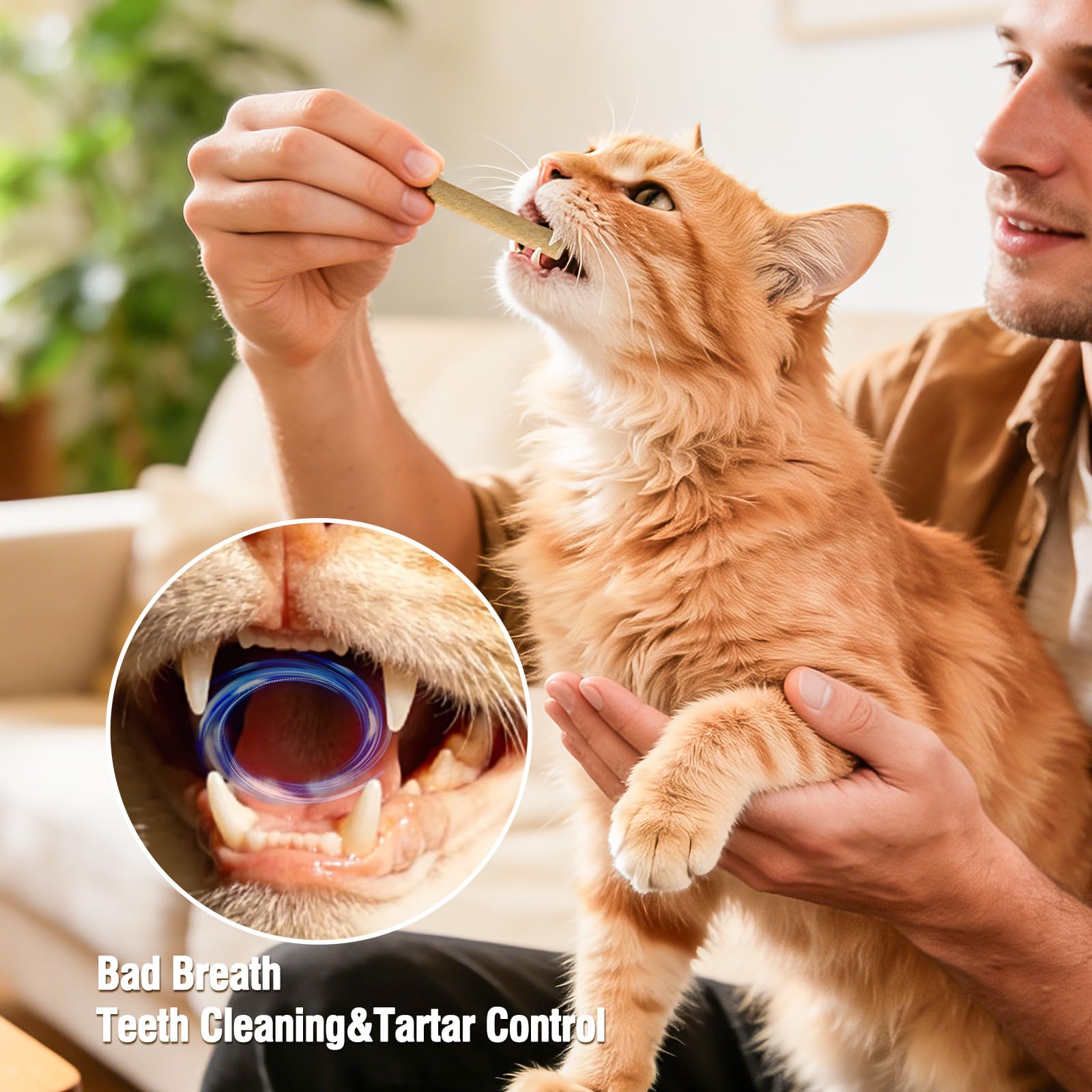 1.74oz Freezed Dried Cat Teething Sticks, Salmon Cat Chew Stick for Dental Care, Chicken Cats Treats, Feline Teeth Cleaning Snacks - image 3