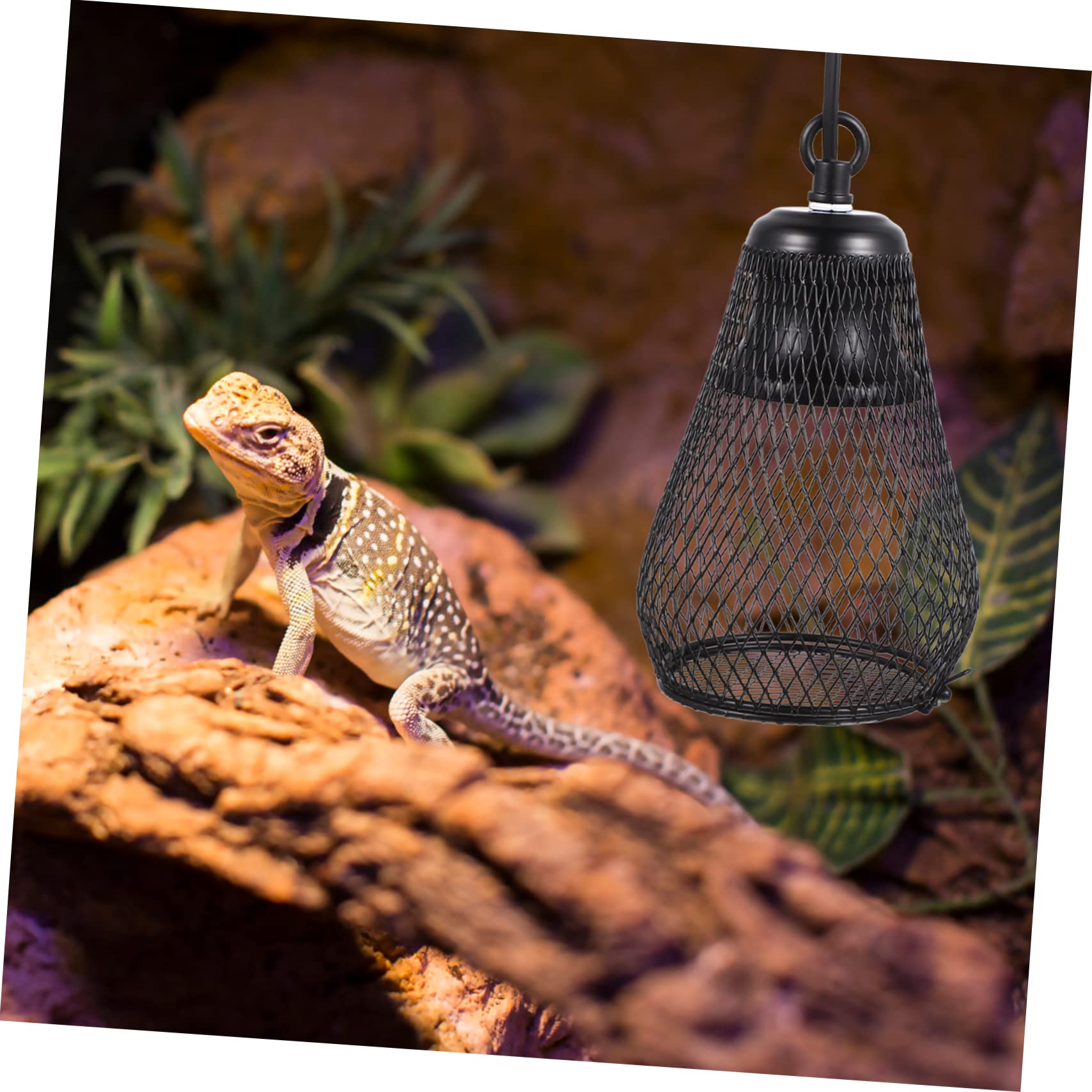 Supvox Reptilienlampenabdeckung Schutzabdeckung Schwarz aus Eisen mit Netzform zur Vermeidung von Verbrennungen Kronengecko Zubehör für Heizlampen Installieren im Pet Climbing Kasten