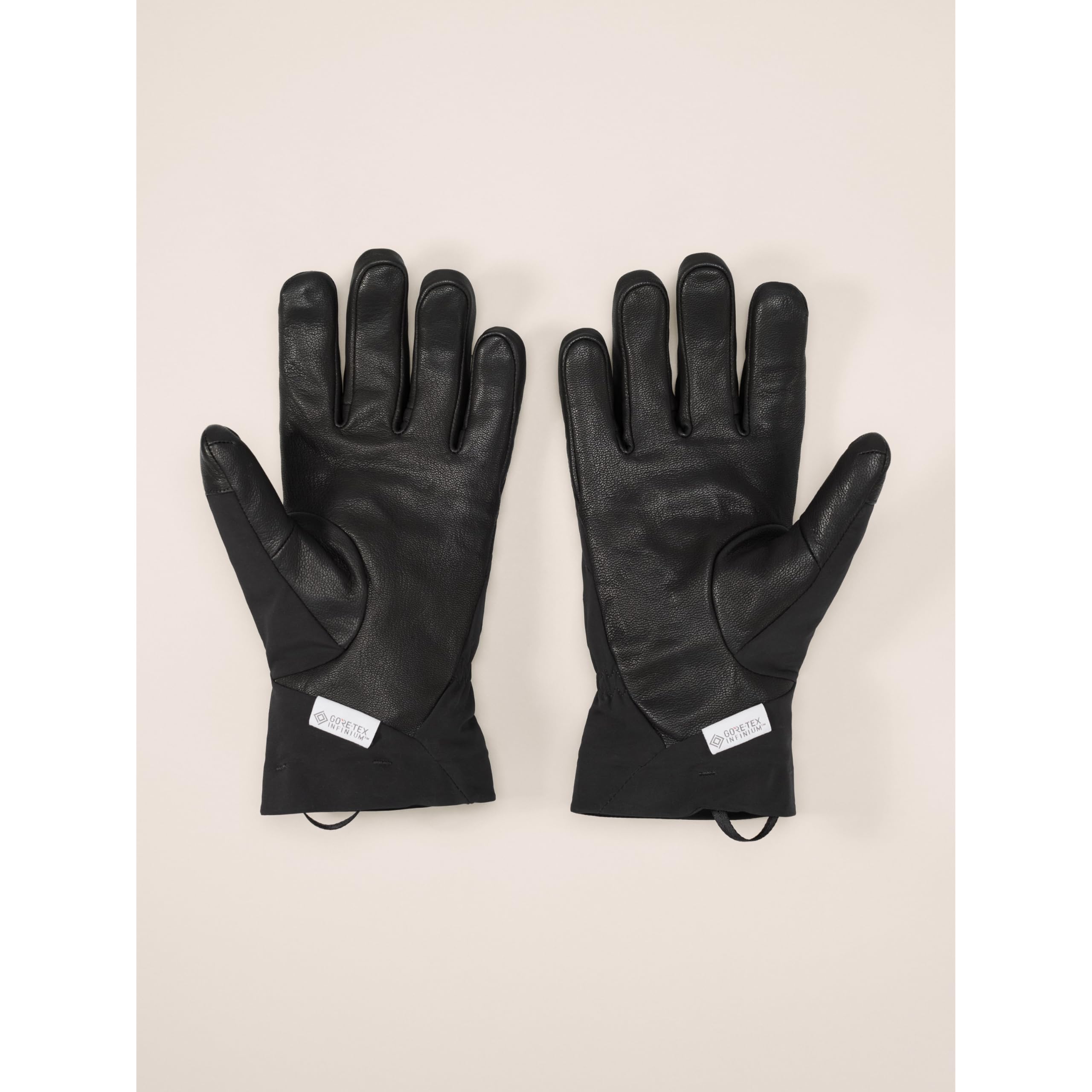 Amazon.co.jp: [アークテリクス] ベンタ AR グローブ X000006750 Black