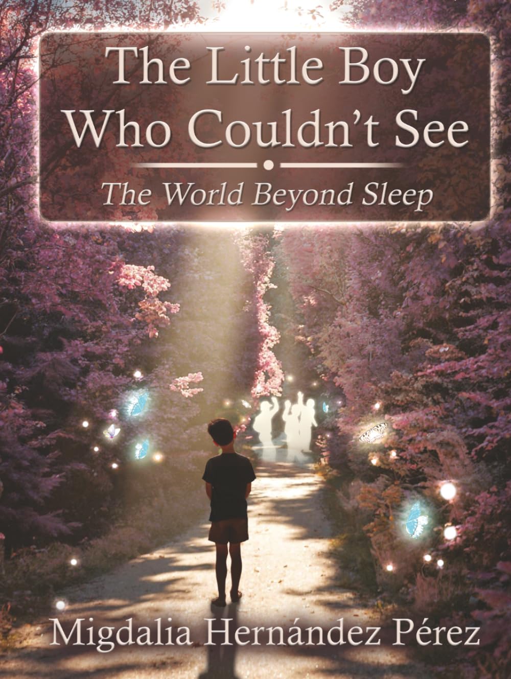 The Little Boy Who Couldn't See: The World Beyond Sleep