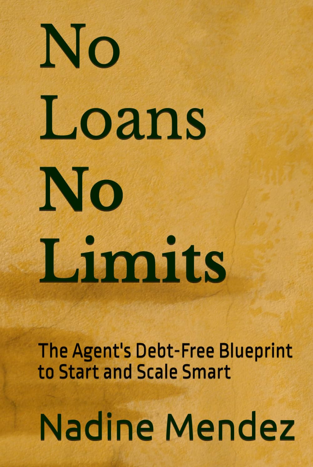 No Loans No Limits: The Agent's Debt-Free Blueprint to Start and Scale Smart