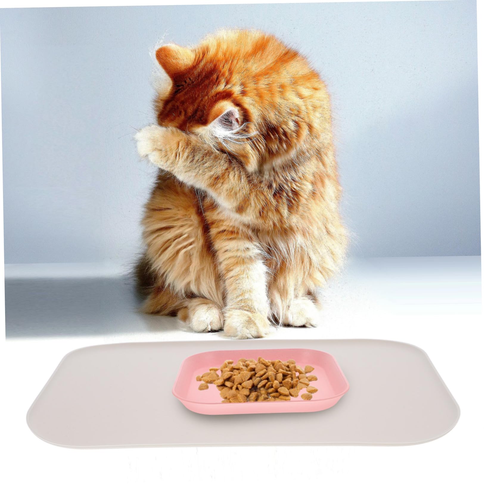 INOOMP 3stücke Pet Placemat Aus Silikon Mit Erhöhtem Rand wasserdichte Futtermatte Für Haustiere Für Katzen Und Hundenäpfe rutschfeste Und Langlebige Unterlage Kleiner