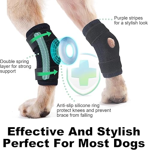 Miniatura 3 de IEhotti - Soporte de pierna de perro para pierna trasera, corneta, tobillo, soporte de cadera para recuperación posoperatoria de la articulación