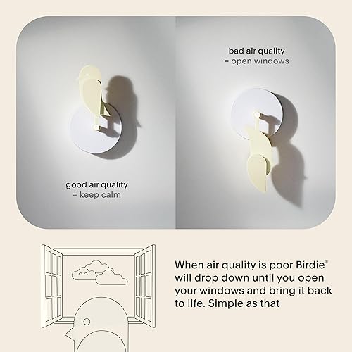 Miniatura 3 de Birdie 2.0 - Monitor de CO2 de diseño para interiores - Medidor de calidad del aire para el hogar y la oficina - Promueve la salud mental y física -