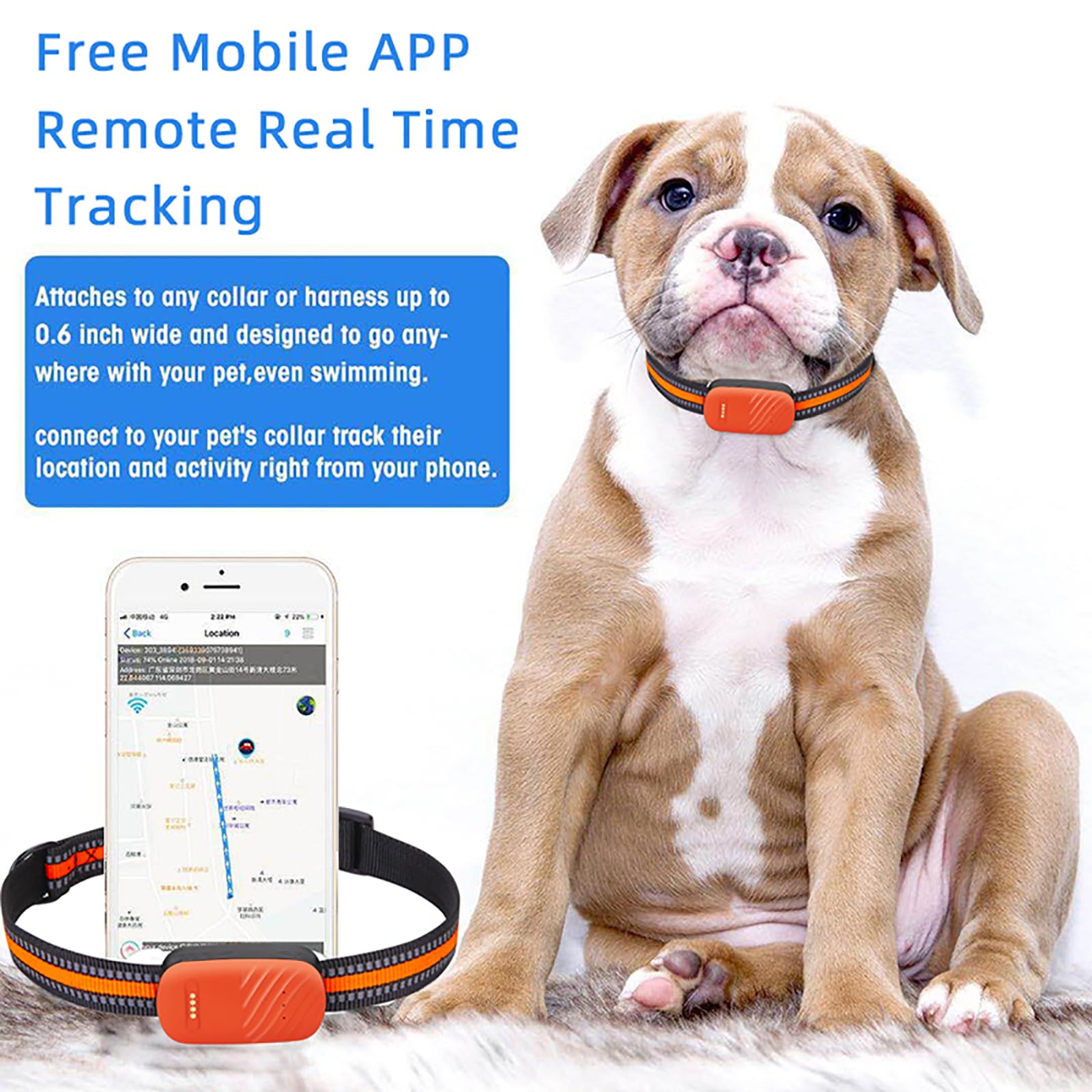 Localizzatore GPS per animali domestici, dispositivo anti-smarrimento con posizionamento multiplo e riproduzione storica dei brani per cani e gatti