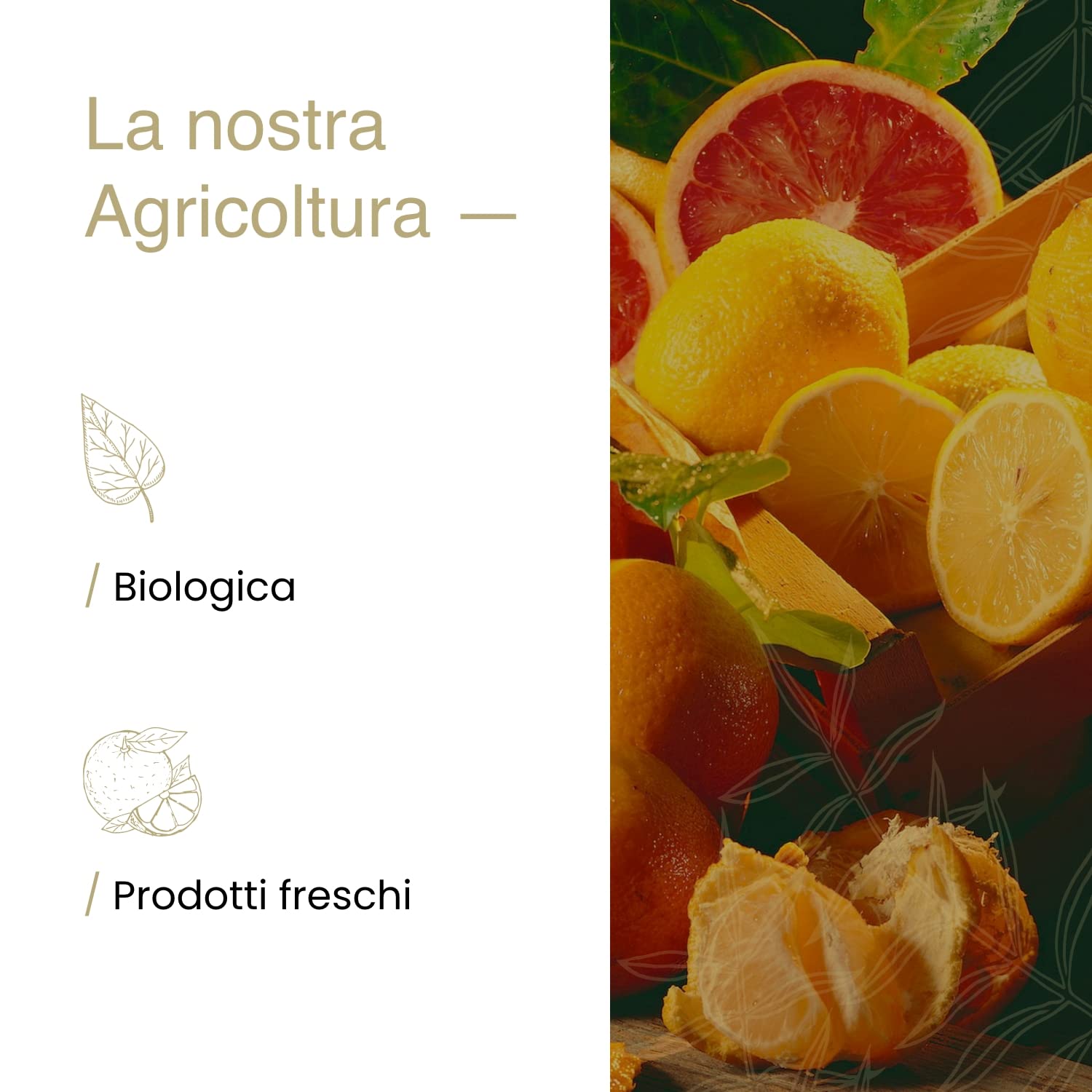 Limoni 100% Siciliani e 100% Biologici - Massima Freschezza e Sostenibilità, Limoni Raccolti Direttamente dai Nostri Alberi - 4 kg - CERTIFICATI BIOLOGICI QUESTO FA LA DIFFERENZA