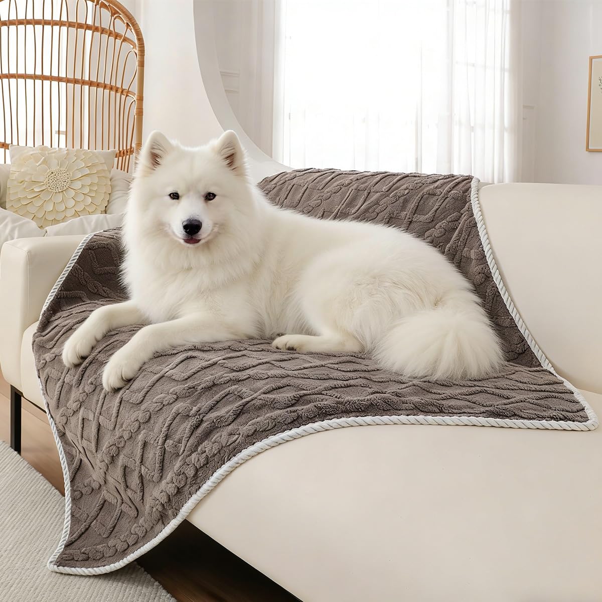 Lot de 2 couvertures imperméables pour animal de compagnie - Couverture lavable pour lit et chat - Pour lit, canapé, siège de voiture - Lavable - Pour chiens et chats - Café - 75 x 100 cm