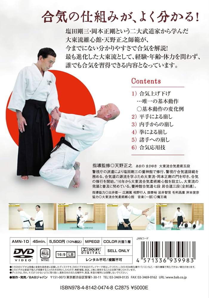 「道家合気術　内功の巻」合気道　大東流　気功 道家合気術 内功の巻」合気道 大東流 気功 道家合気術〈内功