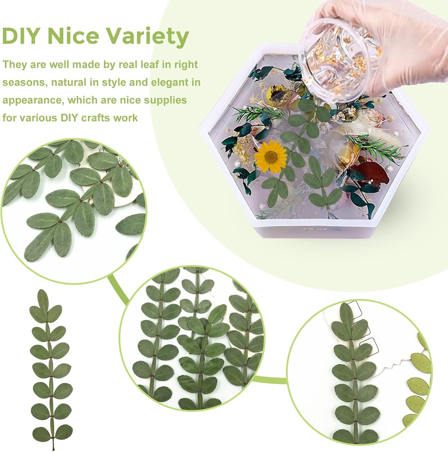 Natural Pressed Dried Leaves for Resin, 42PCS Real Dry Prickly Leaves for Resin Art DIY Craft Card Scrapbooking Candle Making Phone Case Home Decoration