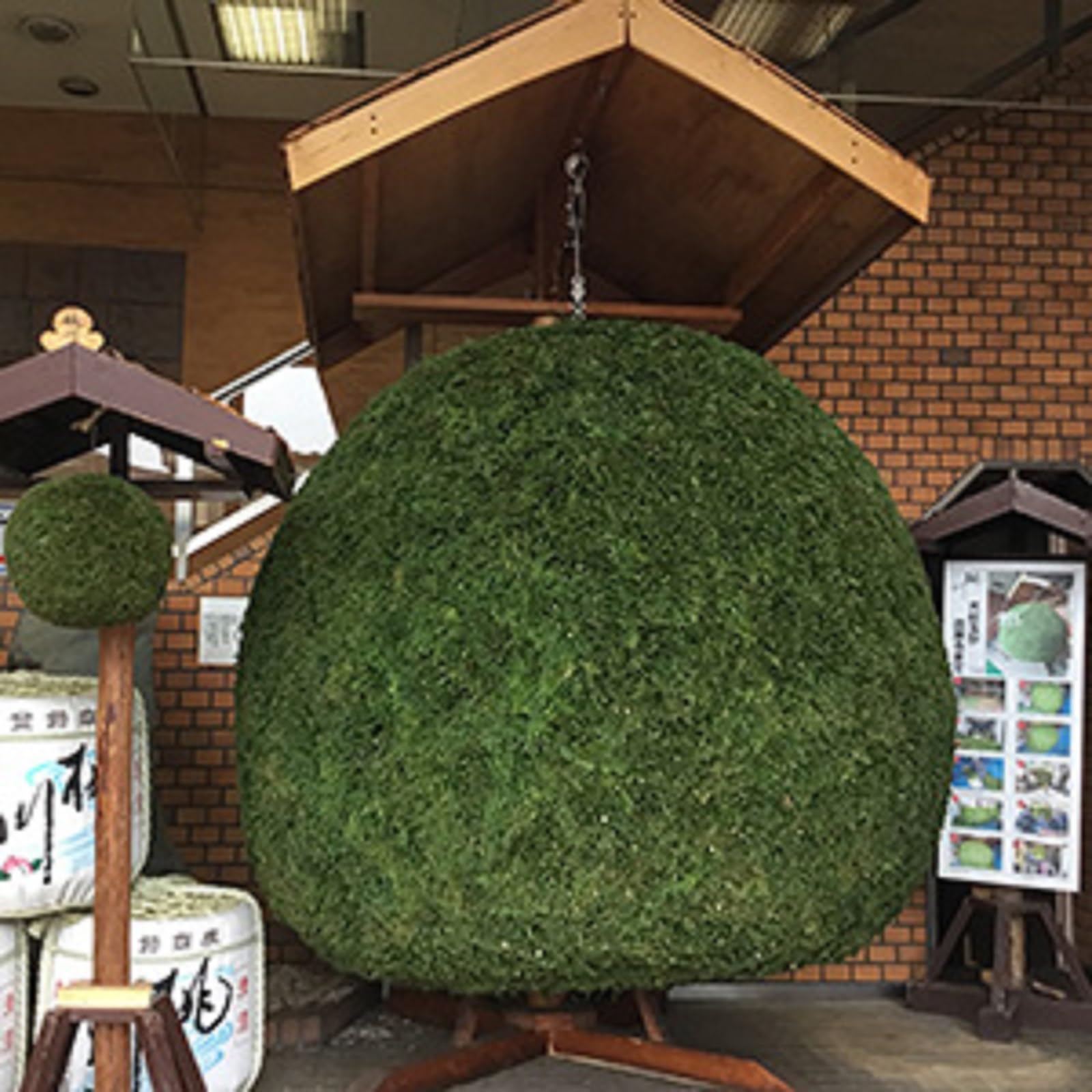 Amazon.co.jp: 吟醸純米 杉玉 [ 日本酒 青森県 720ml ] : 食品・飲料・お酒