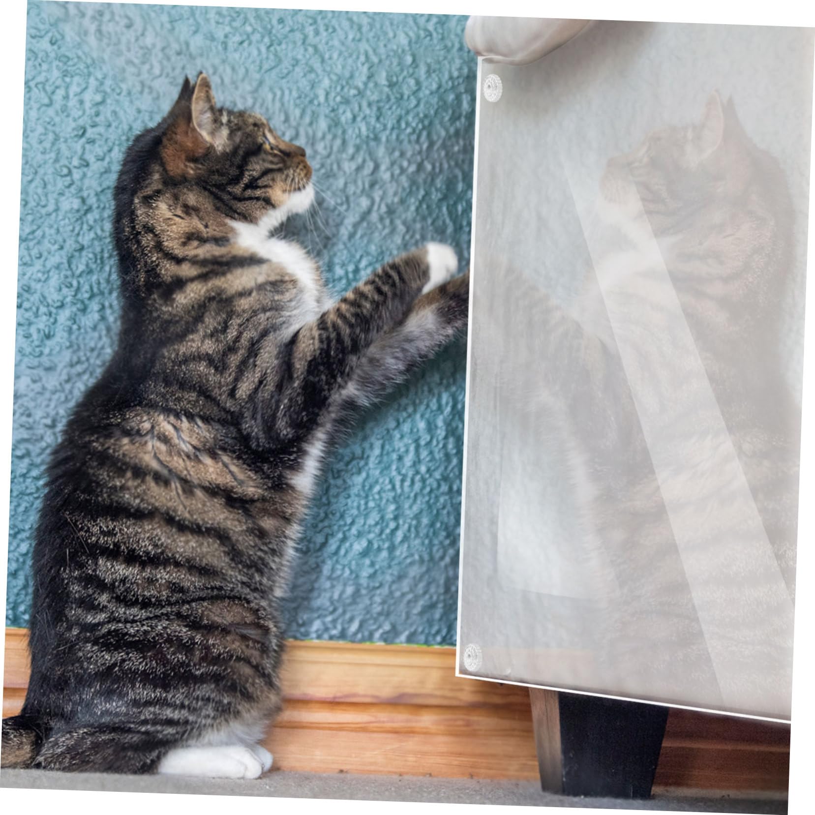 POPETPOP 15stücke Kratzschutz Für Katzenmöbel Aus Transparentem Möbelschutz Vor Kratzern Mit Nägeln Für Einfache Installation Für Sofas Stühle Und Tische