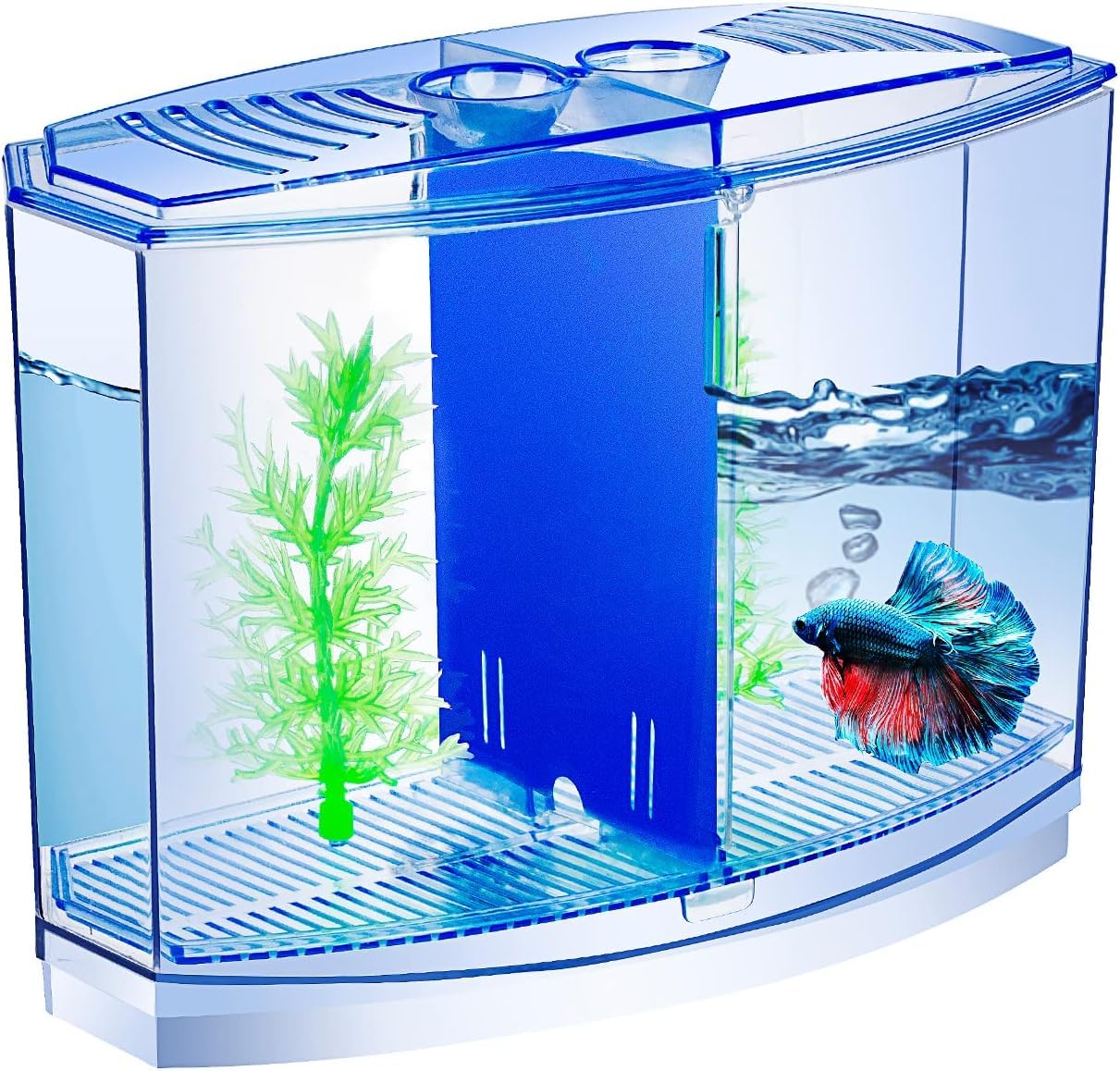 Double Betta Fish Tank for Aquarium kit - (Stylish Portable Table Aquarium Betta House) – with Artificial Plant Transparent Multi Color - (8 x 4 x 5 inch) (B0DH5WCSM6) Amazon Price History, Amazon Price Tracker