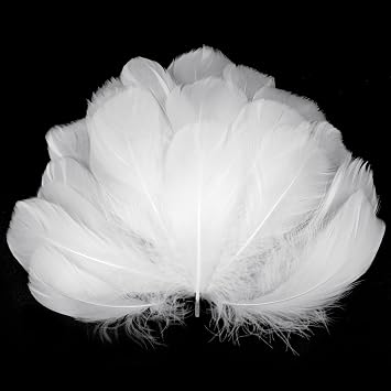 100pcs Feathers for Crafts,6-12cm Feathers Bulk,White Feathers,Natural Goose Feathers,Decorative Feathers Set for DIY Dream Catcher,Gift Box Filling,Wedding,Party Decorations Supplies