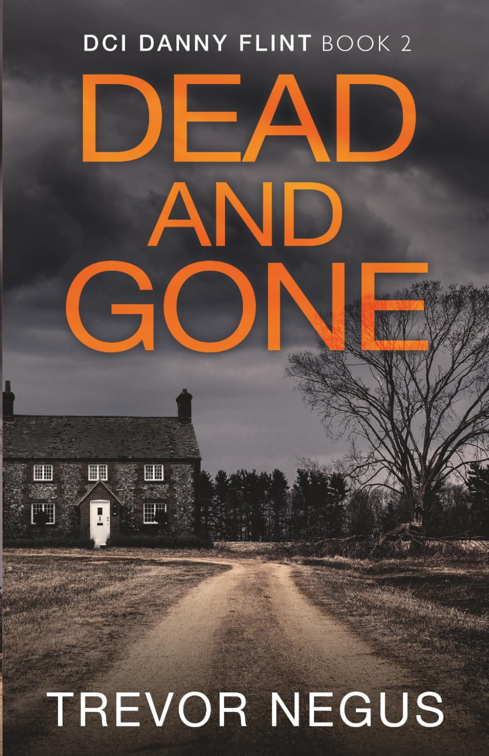 Dead and Gone: A gripping serial killer thriller (DCI Danny Flint)