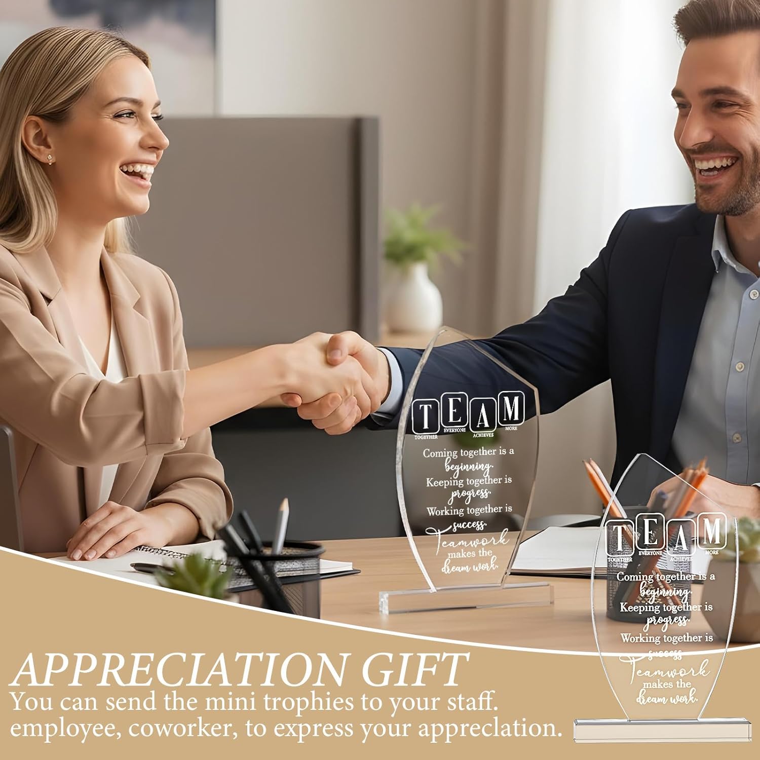 6 Pcs Employee Appreciation Awards for Coworker Acrylic Thank You Trophy May You Be Proud of The Work Do Sign Prizes for Adults Retirement Goodbye Farewell Gift for Women Men - Image 7