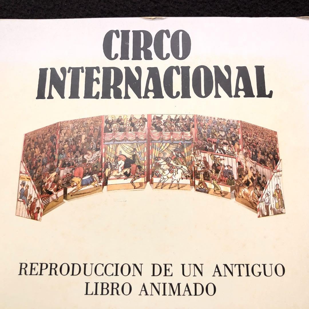 Amazon.co.jp: ロタールメッゲンドルファー 仕掛け絵本「CIRCO