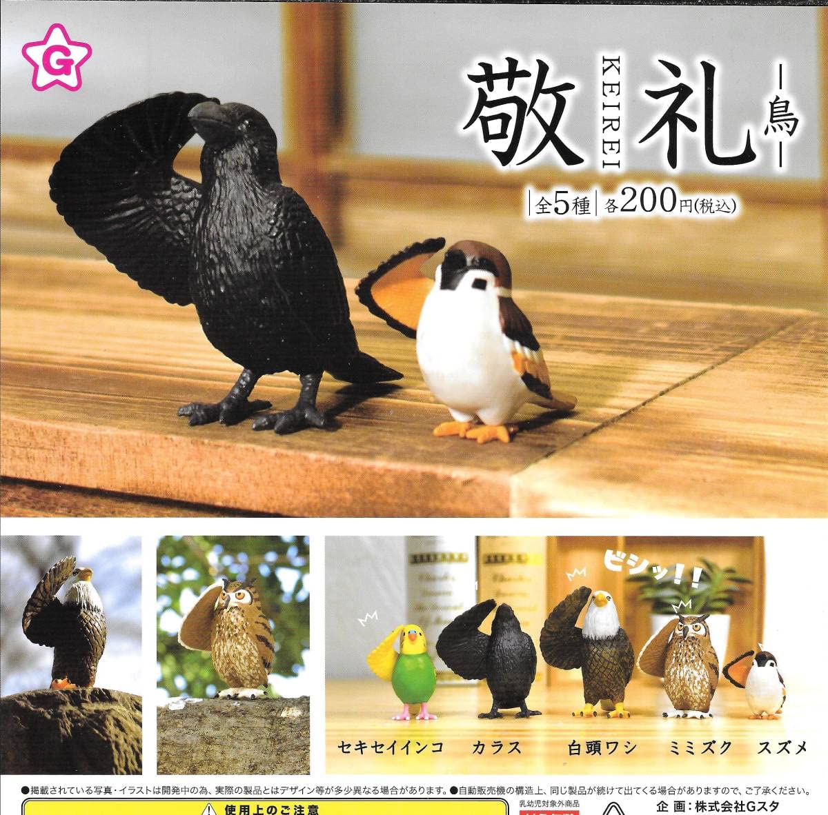 鳥類　2冊セット Amazon.co.jp: 敬礼 -鳥- 全5種フルコンプセット 1 白頭ワシ/カラス