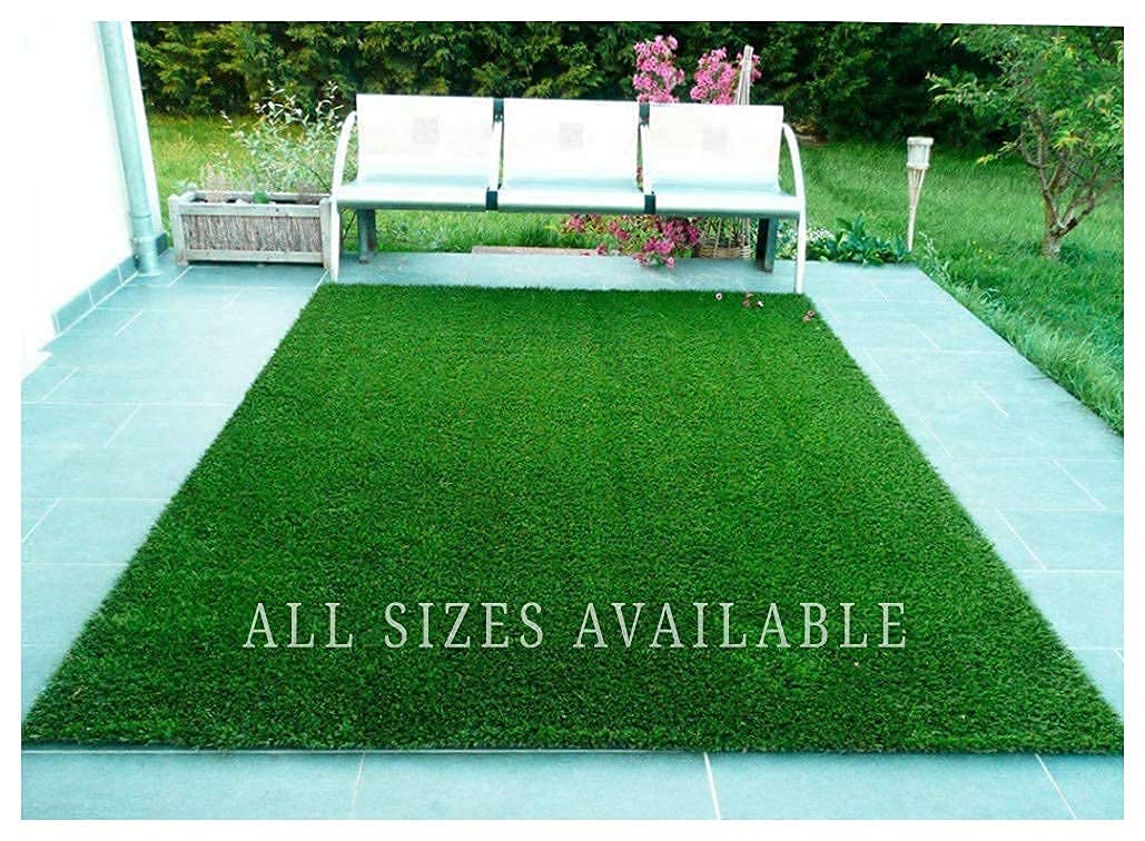 Golden Cart Artificial Grass for Balcony I Artificial Green Grass Carpet for Balcony Garden Lawn Door I Artificial Grass Floor Mat Carpet (4 x 12 Feet) (B0D259KWZY) Amazon Price History, Amazon Price Tracker