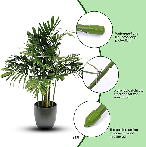 Miniatura 3 de Paquete de 8 jaulas de tomate de soporte para plantas para jardín, jaulas de tomate pequeñas de 18 pulgadas y soportes con anillos ajustables para