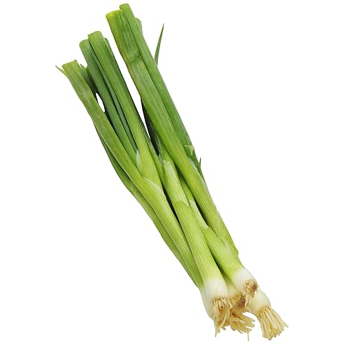 Onion Green Scallion Conventional, 1 Bunch