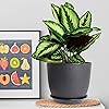 Product Photo 7