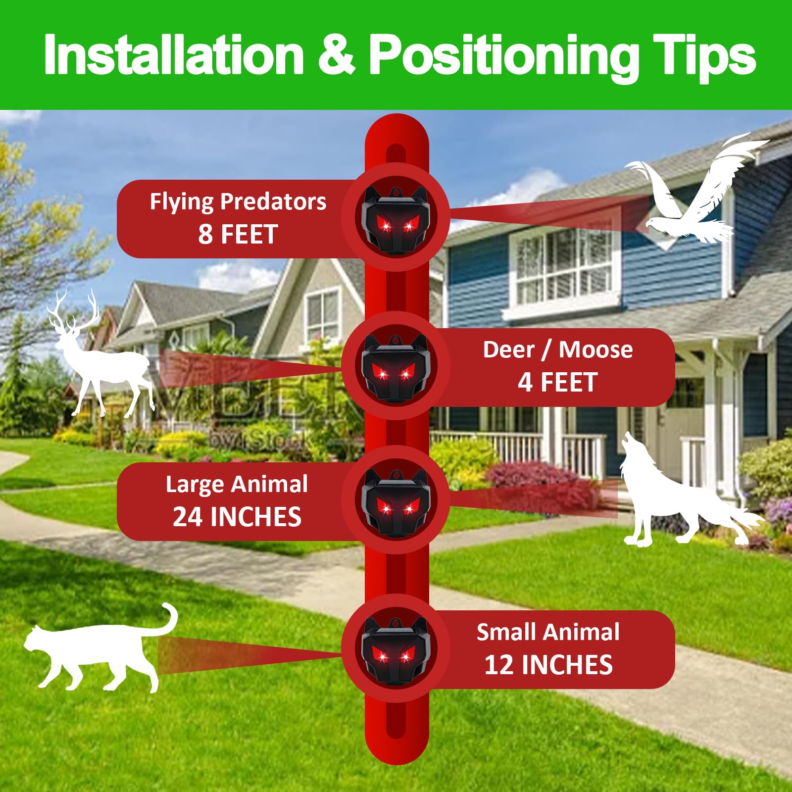 Snapklik.com : Coyote Deterrent, Solar Nocturnal Animal Repeller ...