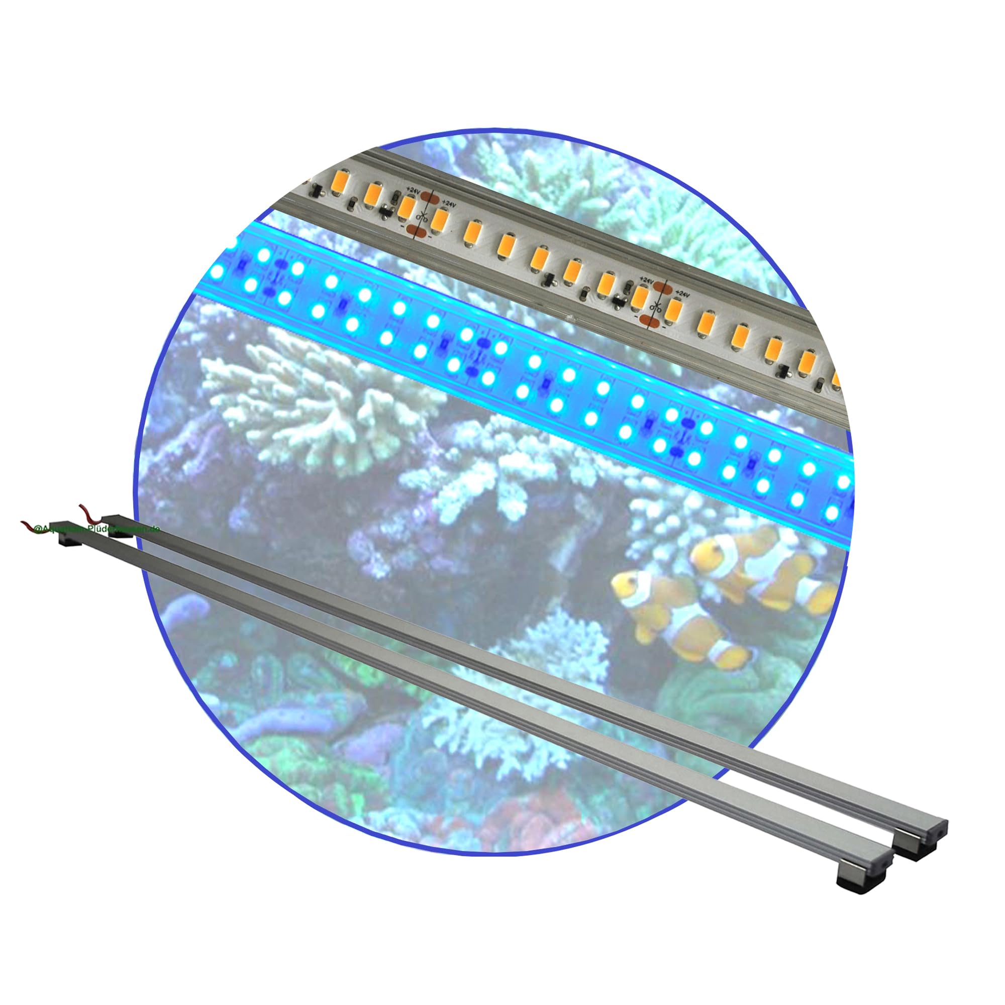 Meerwasser Aquarium LED-Leuchtbalken 2x 30 cm (1x Tageslicht + 1x blau)
