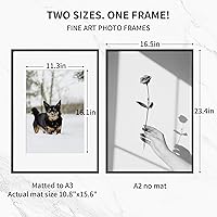 Vista 601 de Fun Memories Portarretratos de metal de 16 x 20 pulgadas con paspartú de 11 x 14 pulgadas, acabado de aluminio cepillado, parte delantera de vidrio