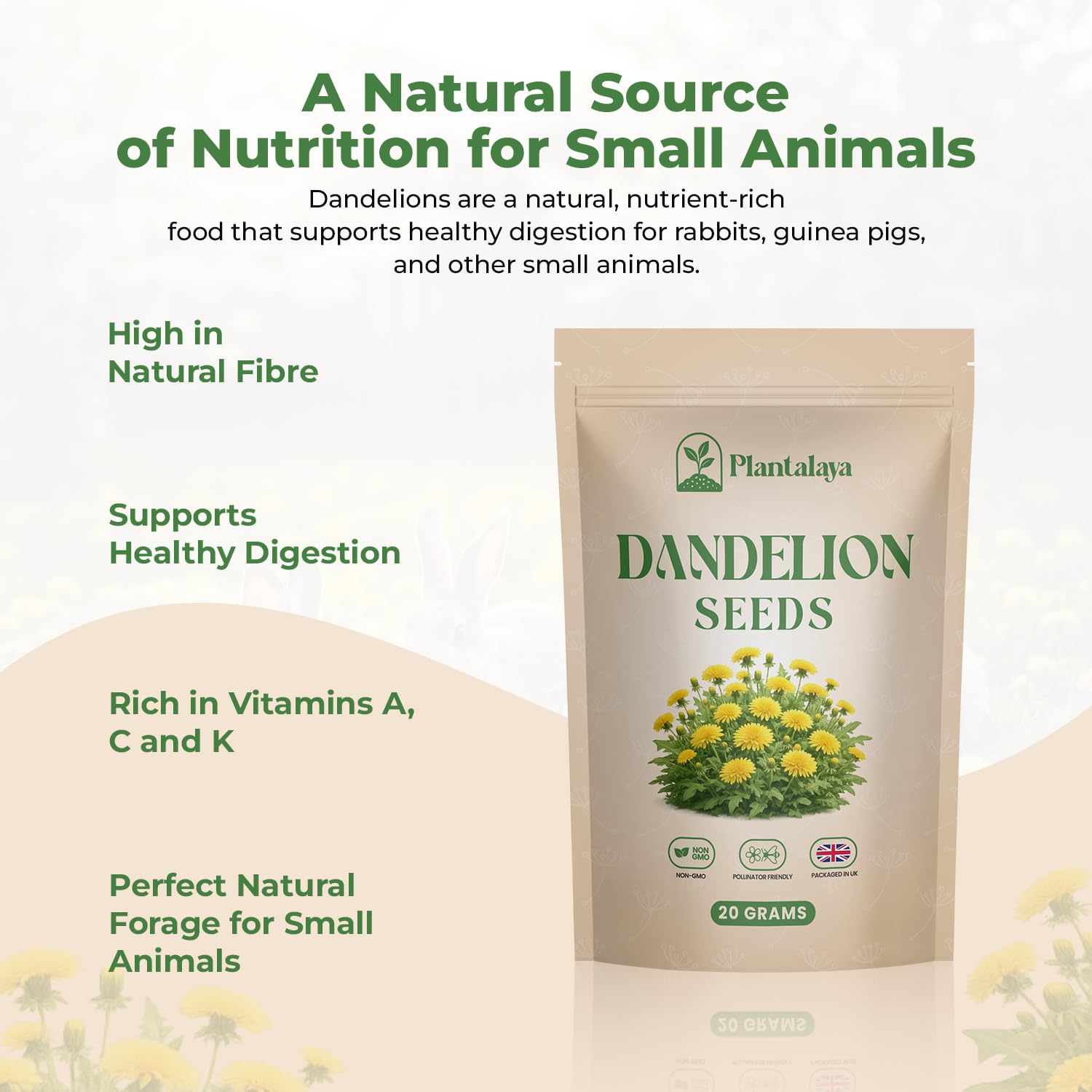 Dandelion Seeds for Planting & Pet Forage – Tortoise, Rabbit & Guinea Pig Food – Easy Grow Edible Herb Garden Seeds – Taraxacum Officinale (20g) — view 2