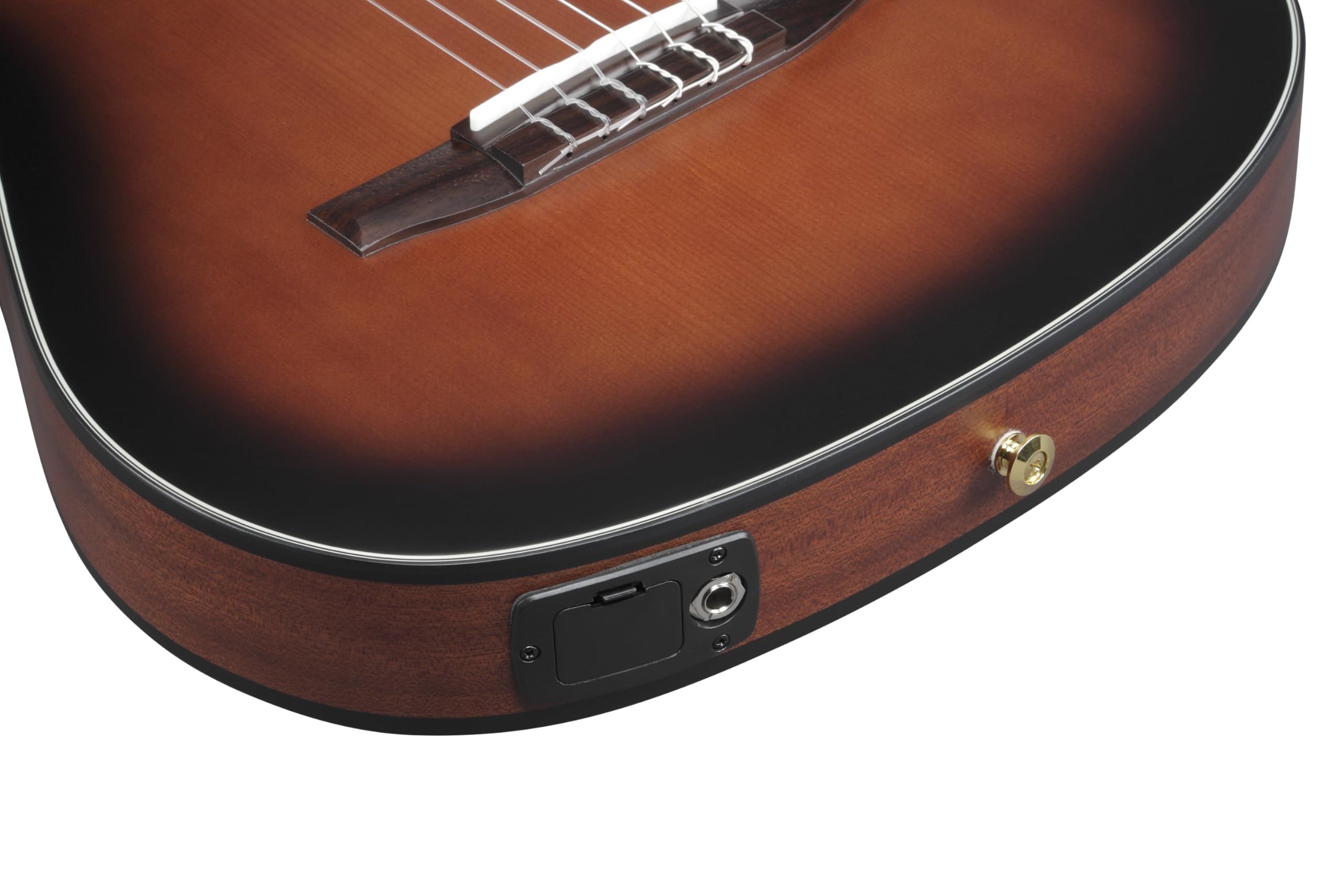 Amazon.com: Ibanez FRH10N Thinline Left-handed Nylon Acoustic