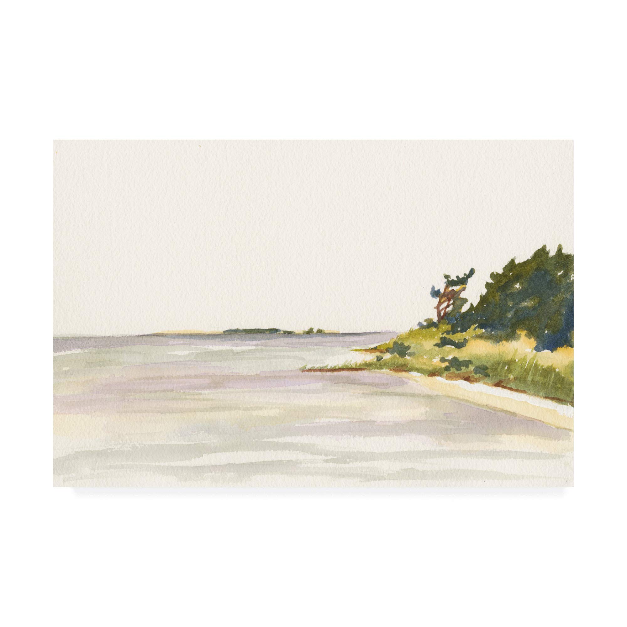 Trademark Fine Art Solitary Coastline I by Dianne Miller, 22x32