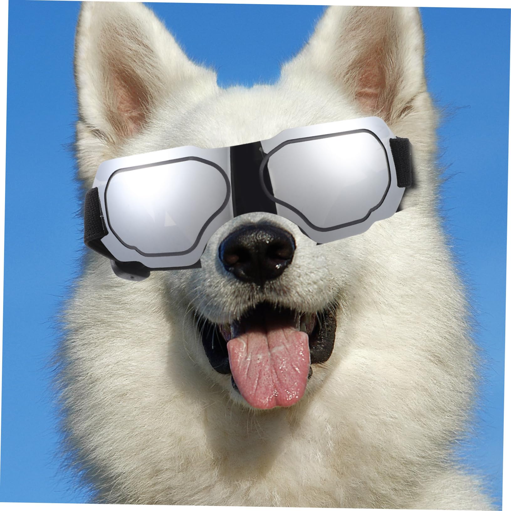 BESPORTBLE Dog Sunglasses Uv Protection Windproof Goggles Pet Accessories Adjustable Strap