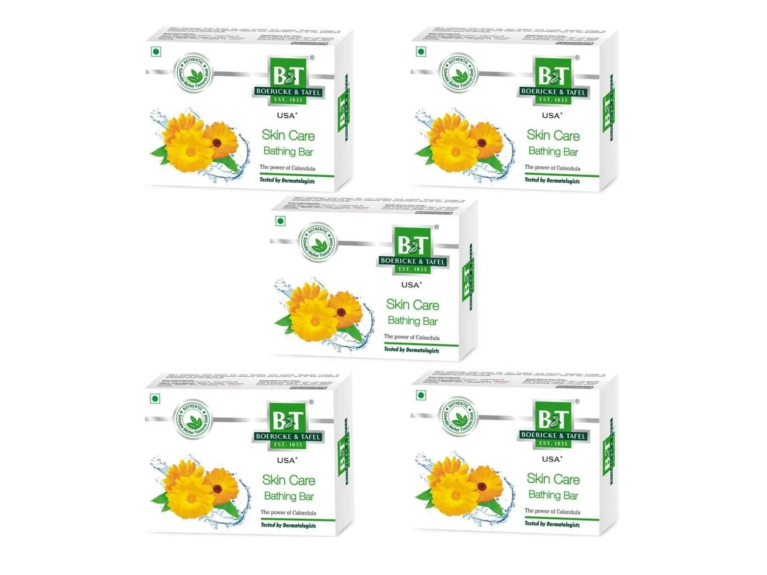 B&T Skin Care Bathing Soap 75gms (Pack of 12)