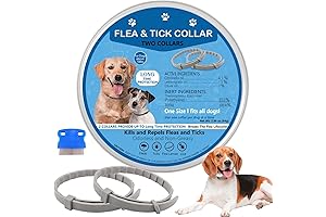 Long-Lasting Flea Collar for Dogs (2-Pack) with Enhanced Tick Control