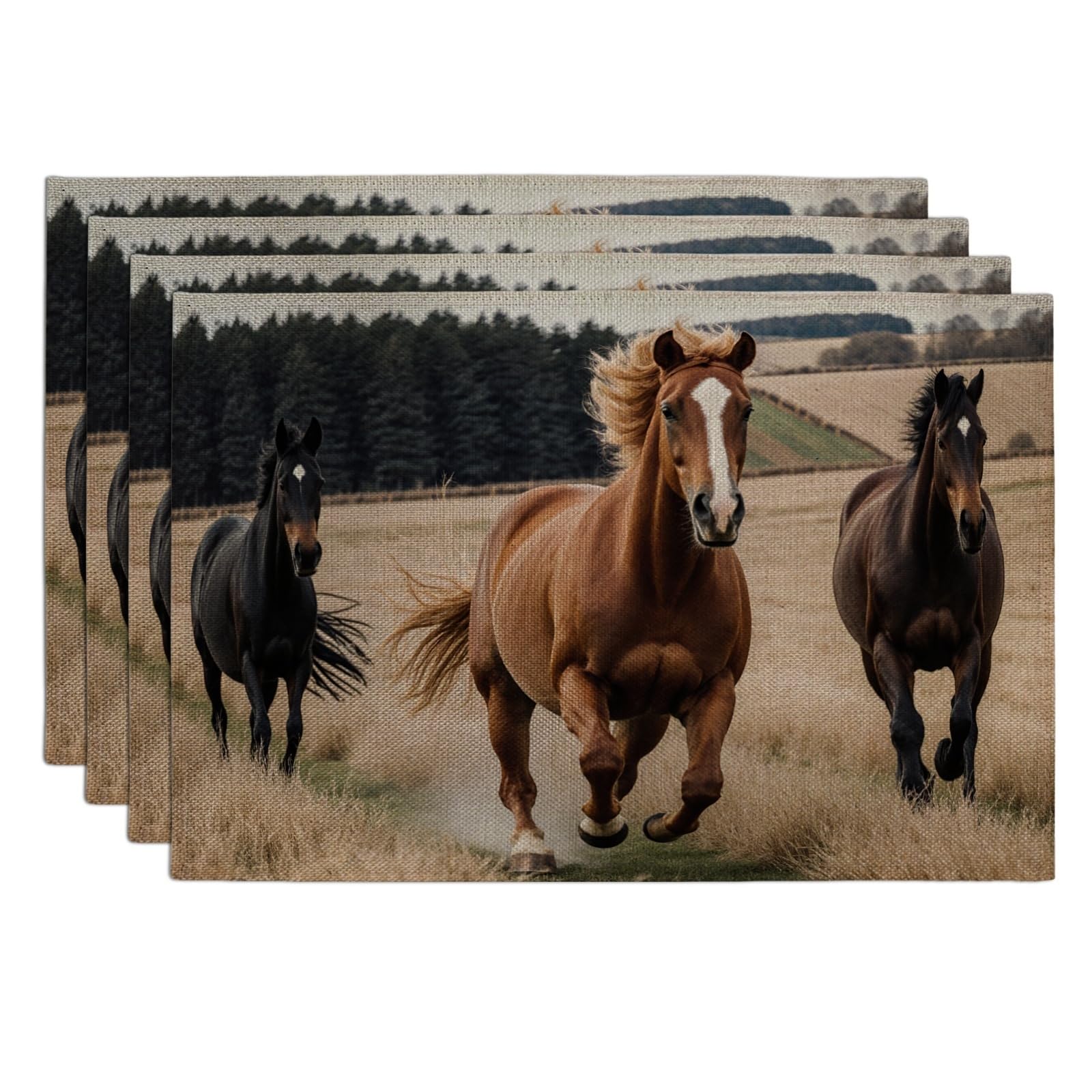 Running Horses Placemats, Rustic Country Style Table Mats for Dining Room, Farmhouse Non-Slip Washable Indoor Outdoor Kitchen Decorative Placemat Set of 4