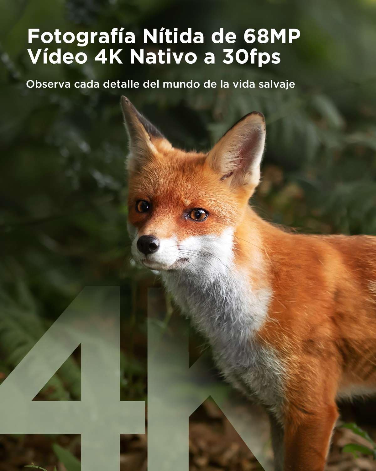 CEYOMUR Cámara Caza Solar 4K 68MP, Camara Fototrampeo Wi-Fi con Batería de 5200 mAh, Sensor de Movimiento de 120°, Visión Nocturna, IP66 a Prueba de Agua con Tarjeta Micro SD de 32 GB