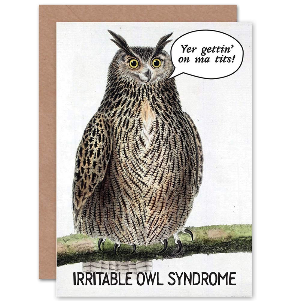 Wee Blue Coo FUNNY OWL FUN BIRD CHEEKY ART GREETINGS GREETING CARD GIFT