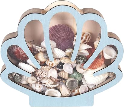 Shell Display Box Wooden Shell Collecting Box