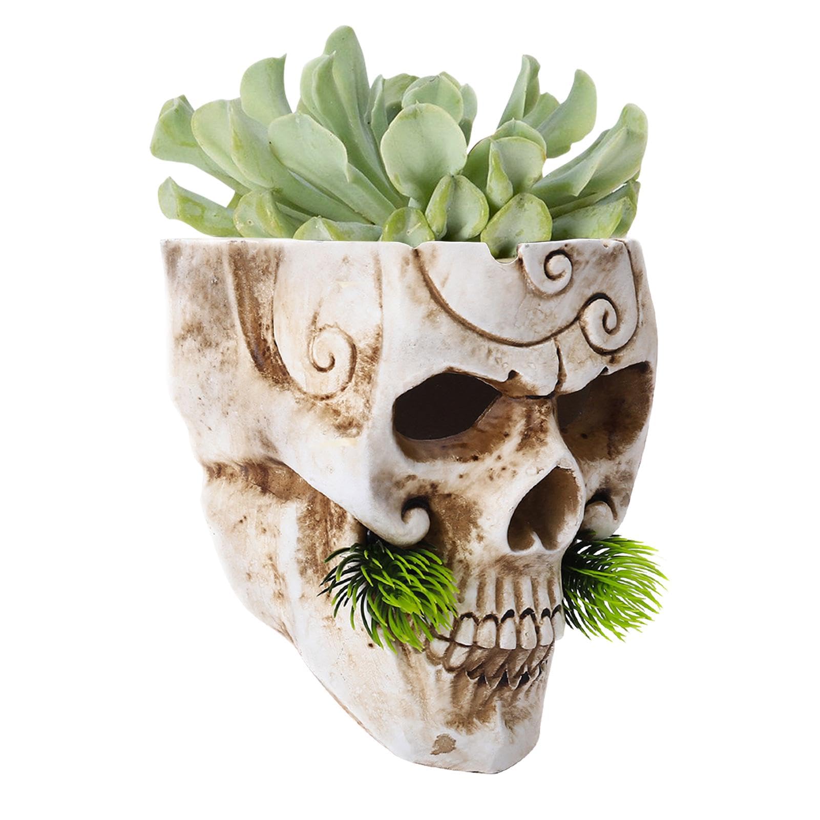 Vaso per piante con teschio, per Halloween, decorazione unica per Halloween, con teschio, in resina, per la casa, per piante, caramelle, piante grasse, top