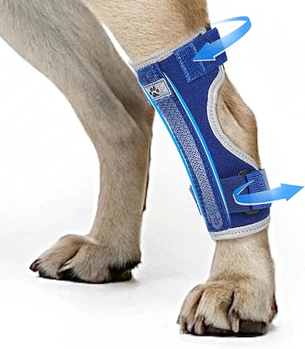 Soporte para piernas de perro, soporte de pierna trasera canina, envoltura de compresión de articulación de cornejo para aliviar el dolor de