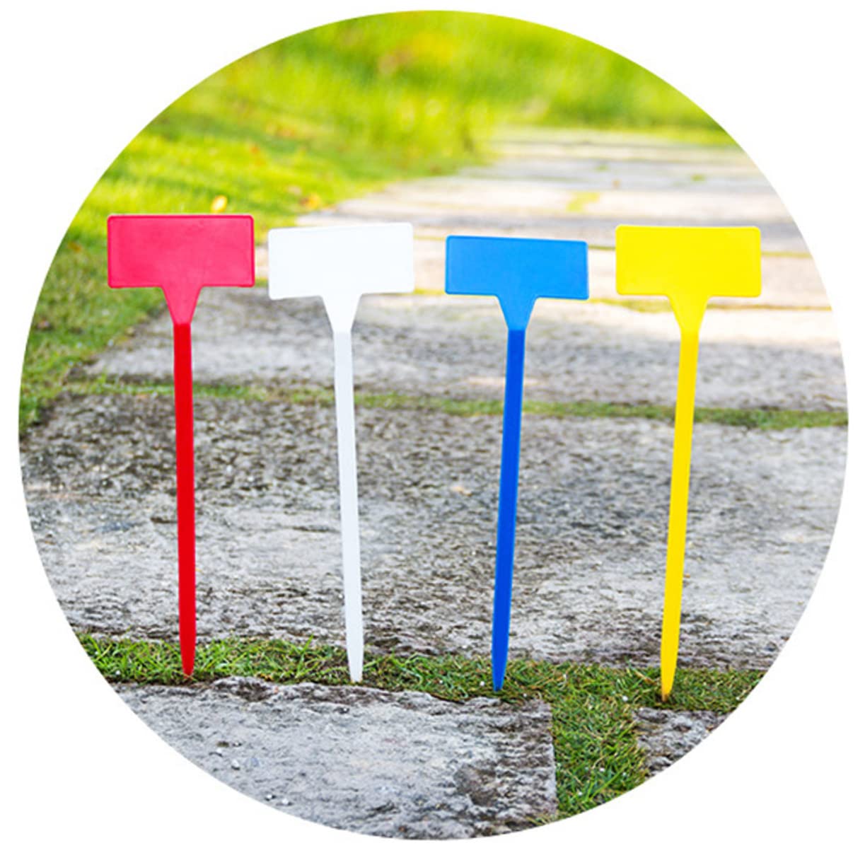 INOOMP Lot De 2 Étiquettes Pour Plantes Dextérieur Réutilisables Faciles À Nettoyer 10 Pièces X 2