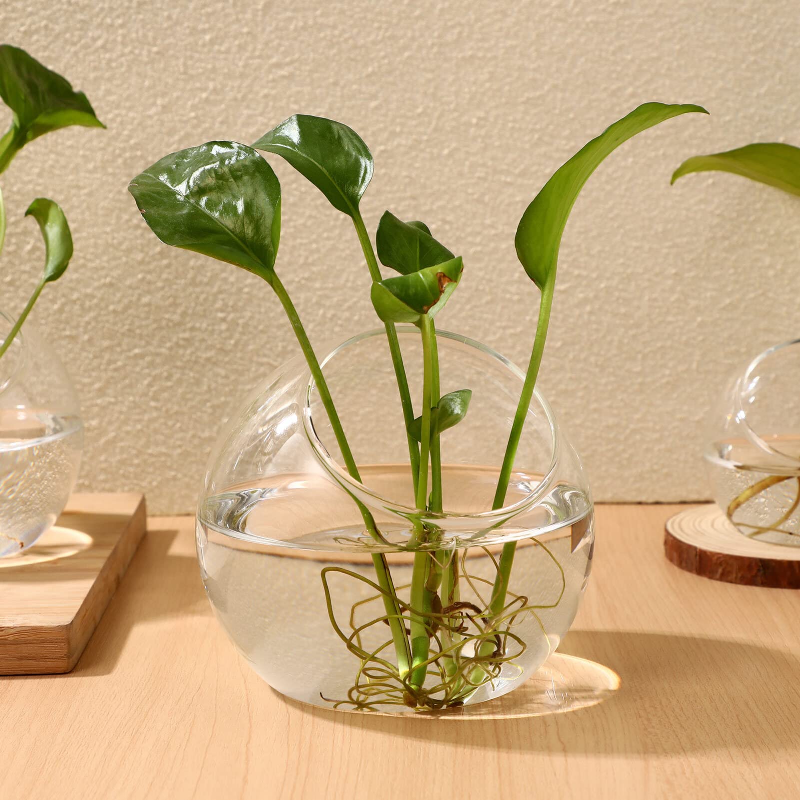 Toddmomy 3 Pcs Verre Clair Air Plante Terrarium Succulent Cactus Plante Vases Terrarium Pot Pot De Bonbons Récipient Floral Bol Incliné pour Fête De Mariage Événement Décor De Bureau À