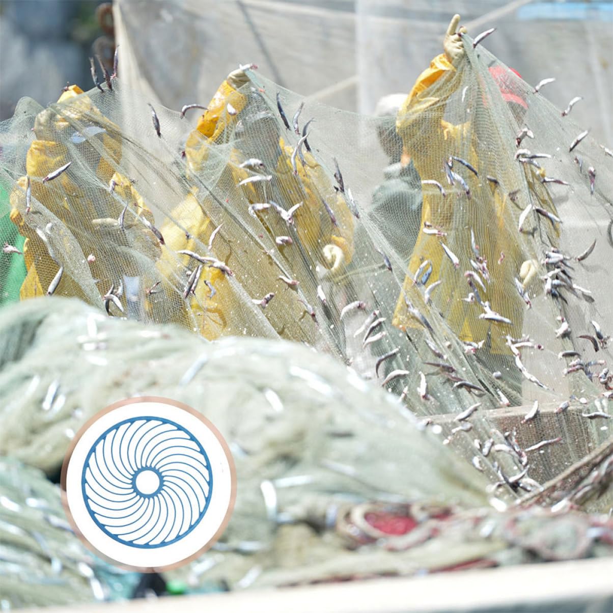 Abaodam 2pezzi Disco da Lancio per Retino da Pesca Mano Resistente all Acqua Salata Anelli da Lancio Accessori per Retino da Pesca Portatile e Facile da Usare