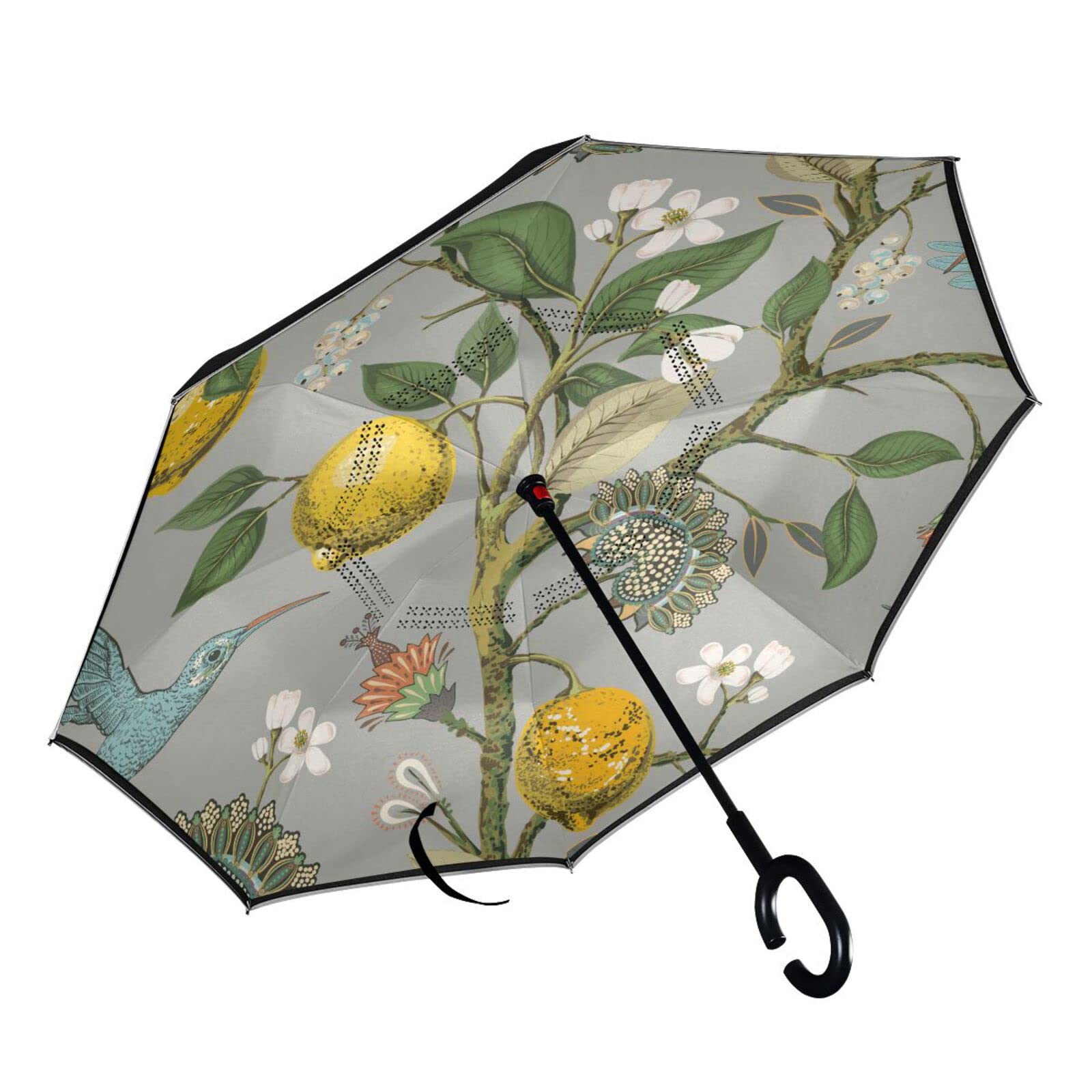 MNSRUU Doble capa invertida pájaros limones flores colibríes paraguas coches reversa viento paraguas lluvia para coche exterior con mango en forma de C protección UV viento, Mutli, L