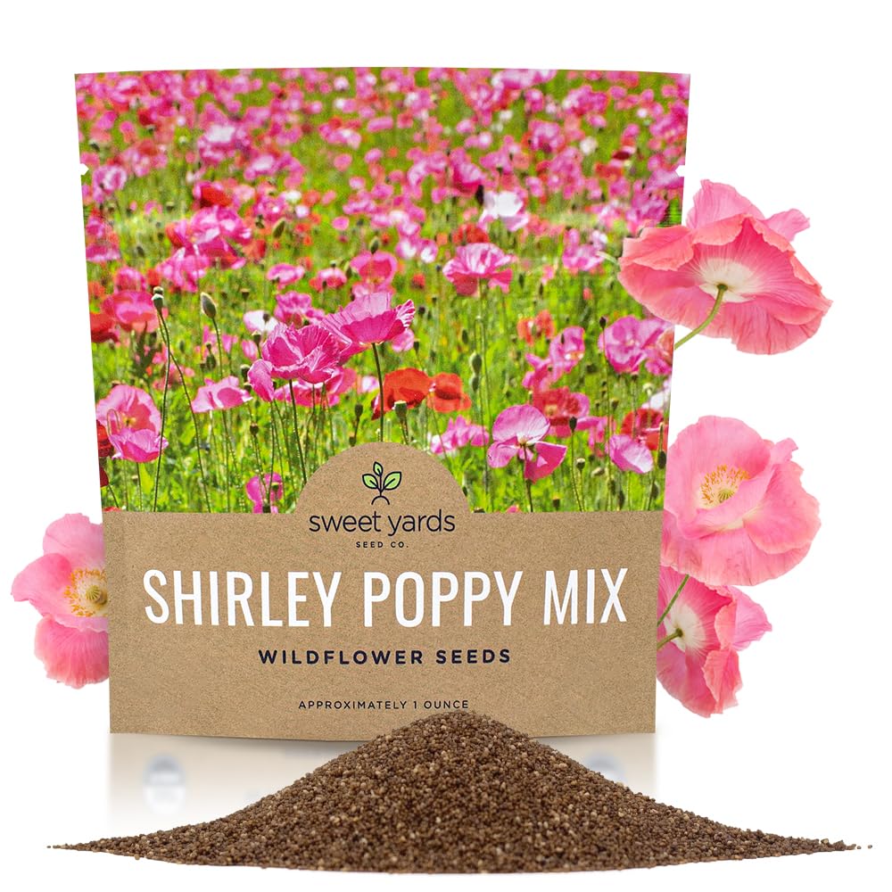 Sweet Yards Shirley Poppy Seeds
