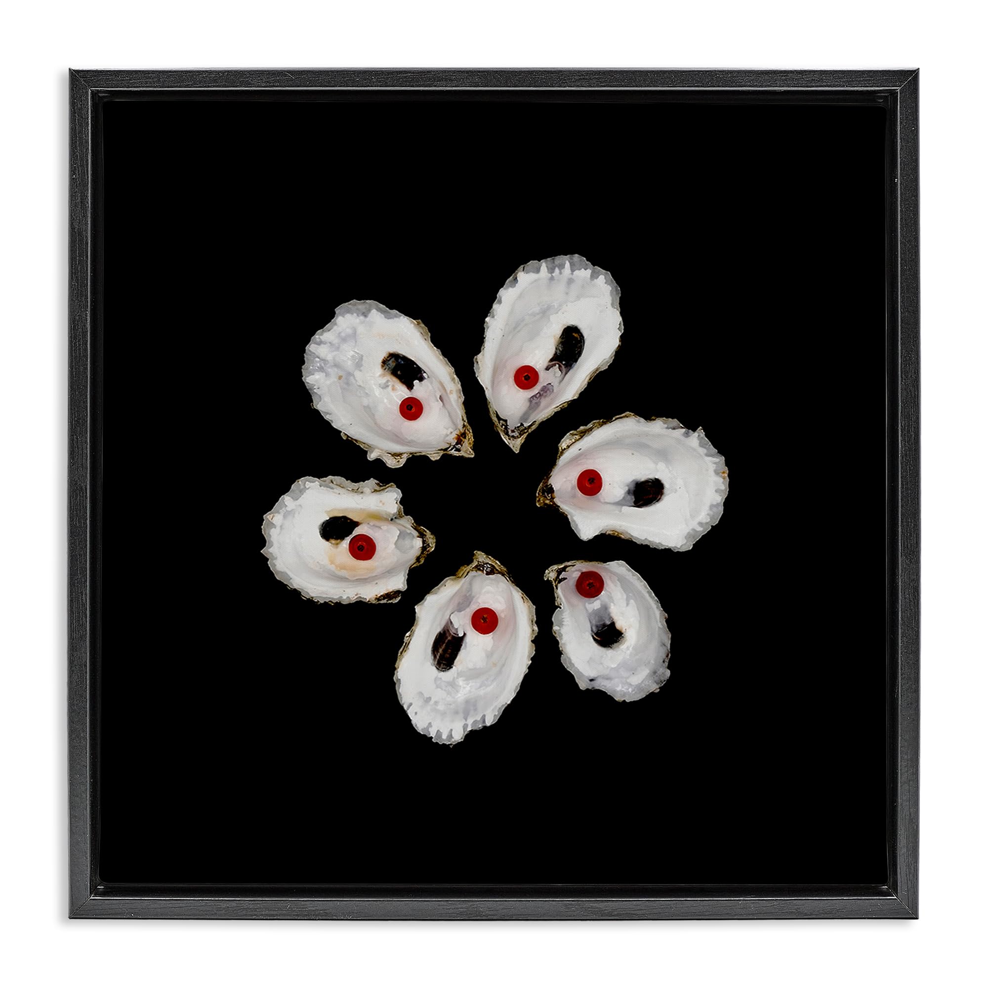 Stupell Industries Jet Black (Matte) 'Oyster Shells Symmetry'| Floating Frame Canvas Art